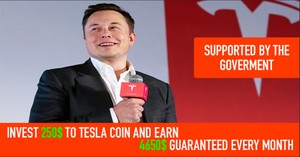 Musk's Program Is Launched Guaranteed Earnings